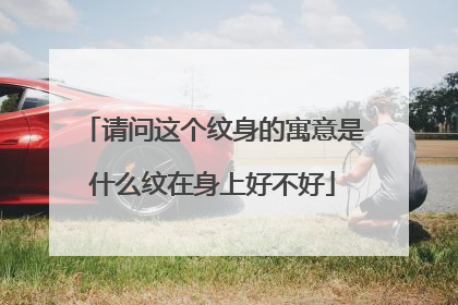 请问这个纹身的寓意是什么纹在身上好不好