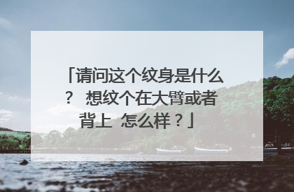 请问这个纹身是什么？ 想纹个在大臂或者背上 怎么样？