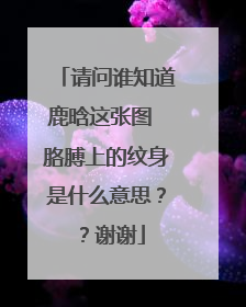 请问谁知道鹿晗这张图 胳膊上的纹身是什么意思？？谢谢