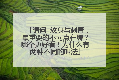 请问 纹身与刺青，最重要的不同点在哪？哪个更好看！为什么有两种不同的叫法