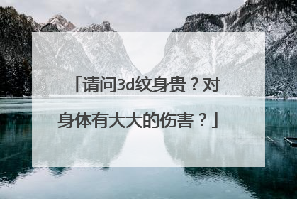 请问3d纹身贵？对身体有大大的伤害？