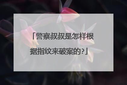 警察叔叔是怎样根据指纹来破案的?