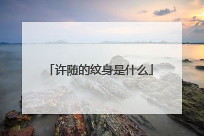 许随的纹身是什么