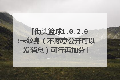 街头篮球1.0.2.0B卡纹身（不愿意公开可以发消息）可行再加分
