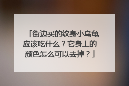 街边买的纹身小乌龟应该吃什么?它身上的颜色怎么可以去掉?