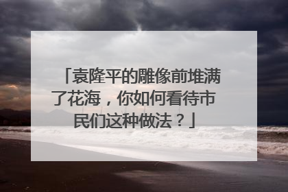 袁隆平的雕像前堆满了花海，你如何看待市民们这种做法？