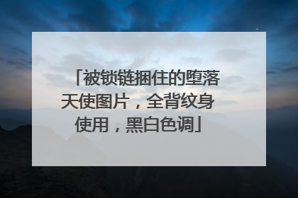被锁链捆住的堕落天使图片，全背纹身使用，黑白色调