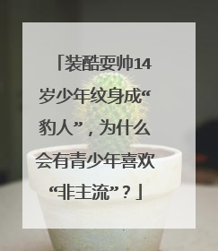 装酷耍帅14岁少年纹身成“豹人”，为什么会有青少年喜欢“非主流”？