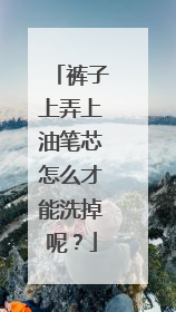 裤子上弄上油笔芯怎么才能洗掉呢？