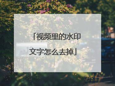 视频里的水印文字怎么去掉