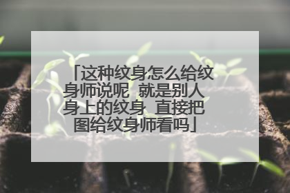 这种纹身怎么给纹身师说呢 就是别人身上的纹身 直接把图给纹身师看吗