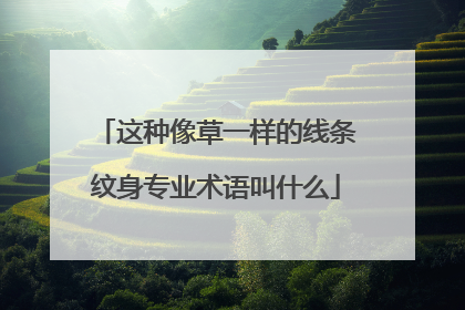 这种像草一样的线条纹身专业术语叫什么