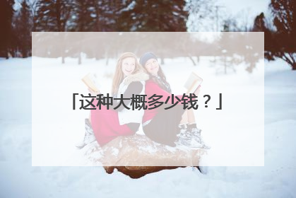 这种大概多少钱？