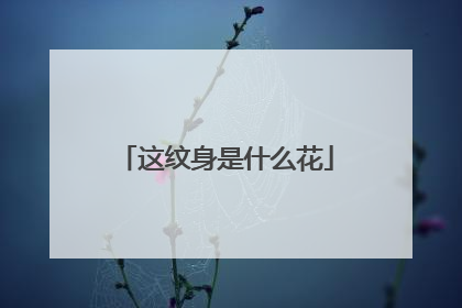这纹身是什么花