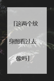 这两个纹身图看过去像吗