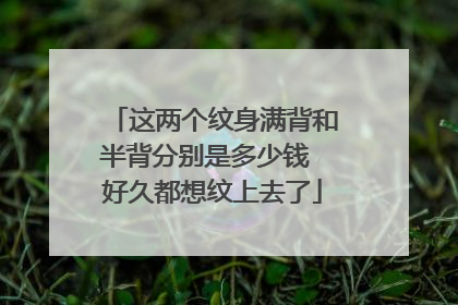 这两个纹身满背和半背分别是多少钱 好久都想纹上去了