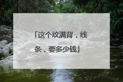 这个纹满背,线条,要多少钱