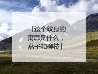 这个纹身的寓意是什么，燕子和柳枝