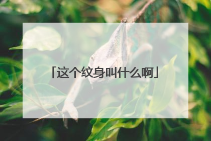 这个纹身叫什么啊