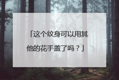 这个纹身可以用其他的花手盖了吗？