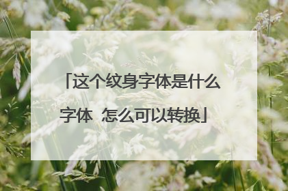 这个纹身字体是什么字体 怎么可以转换