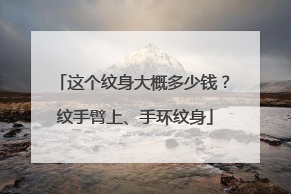 这个纹身大概多少钱？纹手臂上、手环纹身