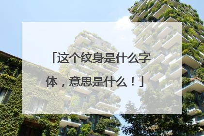 这个纹身是什么字体，意思是什么！