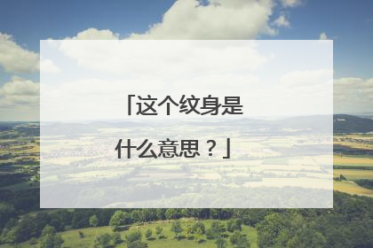 这个纹身是什么意思？