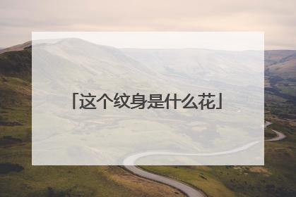 这个纹身是什么花