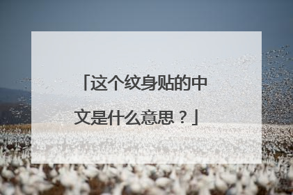 这个纹身贴的中文是什么意思？