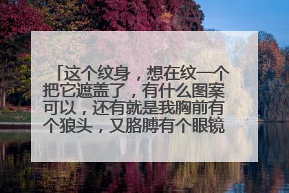 这个纹身，想在纹一个把它遮盖了，有什么图案可以，还有就是我胸前有个狼头，又胳膊有个眼镜蛇，在纹一个