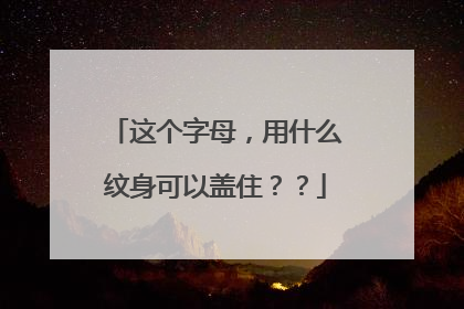 这个字母，用什么纹身可以盖住？？