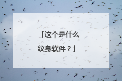 这个是什么纹身软件？