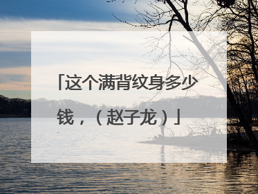 这个满背纹身多少钱，（赵子龙）