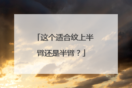 这个适合纹上半臂还是半臂？