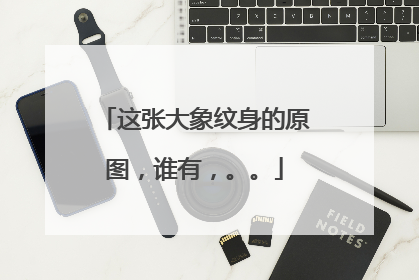 这张大象纹身的原图，谁有，。。
