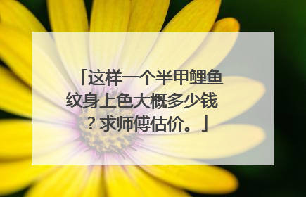 这样一个半甲鲤鱼纹身上色大概多少钱？求师傅估价。