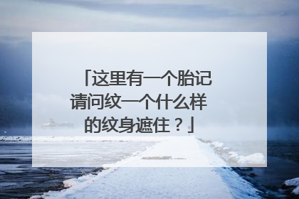 这里有一个胎记请问纹一个什么样的纹身遮住?