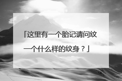 这里有一个胎记请问纹一个什么样的纹身？