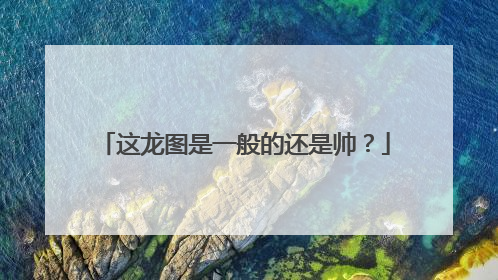 这龙图是一般的还是帅？