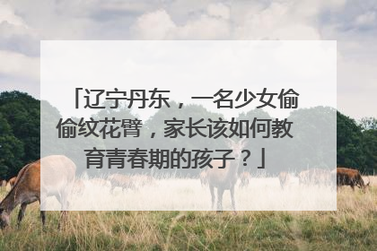 辽宁丹东，一名少女偷偷纹花臂，家长该如何教育青春期的孩子？