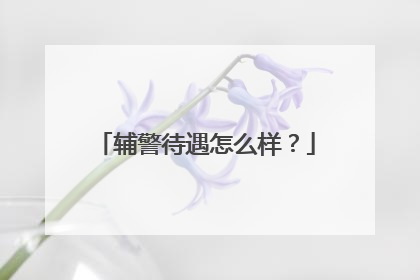 辅警待遇怎么样？