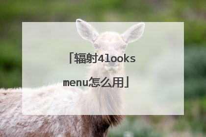 辐射4looksmenu怎么用