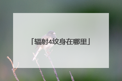 辐射4纹身在哪里