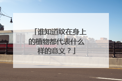 谁知道纹在身上的植物都代表什么样的意义?