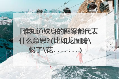 谁知道纹身的图案都代表什么意思?(比如龙图腾\蝎子\花.......)还有,红色的纹身是怎么弄的?哪里可以纹?