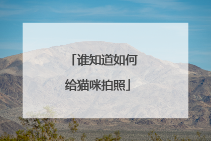 谁知道如何给猫咪拍照