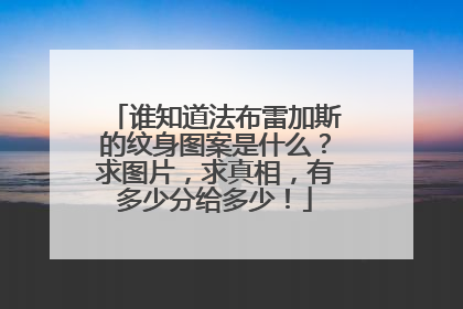 谁知道法布雷加斯的纹身图案是什么？求图片，求真相，有多少分给多少！