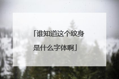 谁知道这个纹身是什么字体啊