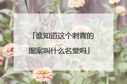 谁知道这个刺青的图案叫什么名堂吗